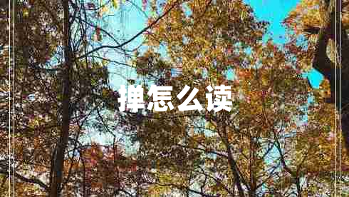 撣怎么讀