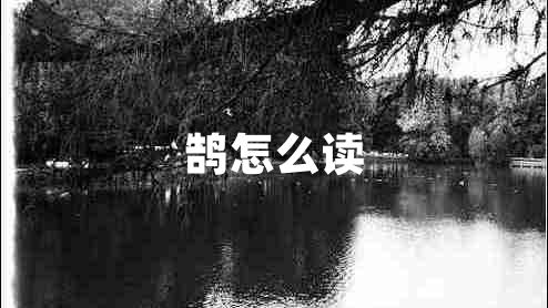 鵠怎么讀 鵠怎么讀