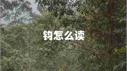 鈞怎么讀 鈞怎么讀