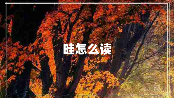 畦怎么讀 畦怎么讀