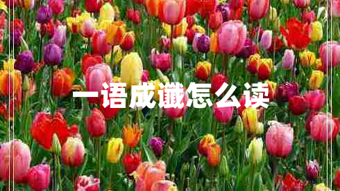 一語成讖怎么讀