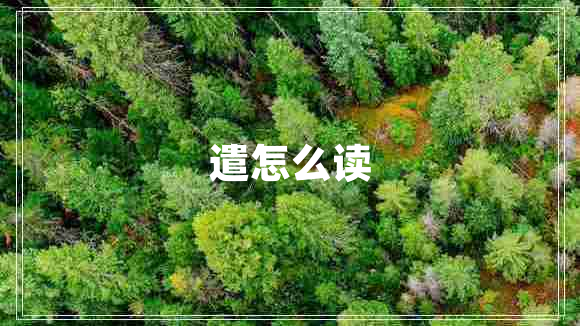 遣怎么讀 遣怎么讀