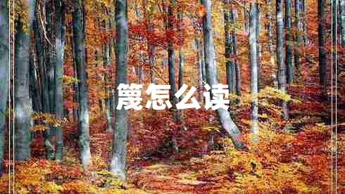 篾怎么讀 篾怎么讀