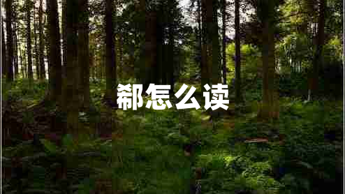 郗怎么讀 郗怎么讀