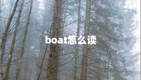 boat怎么讀