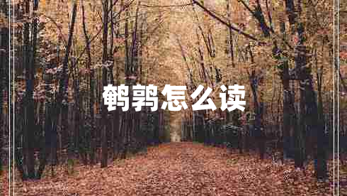 鵪鶉怎么讀 鵪鶉怎么讀