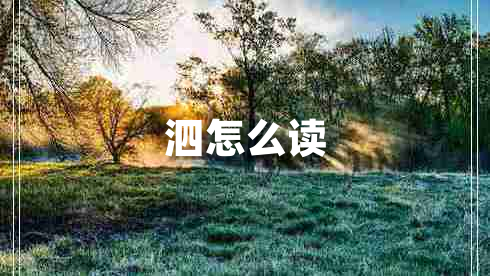 泗怎么讀 泗怎么讀