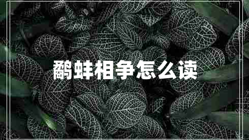 鷸蚌相爭(zhēng)怎么讀