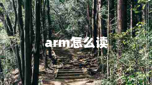 arm怎么讀