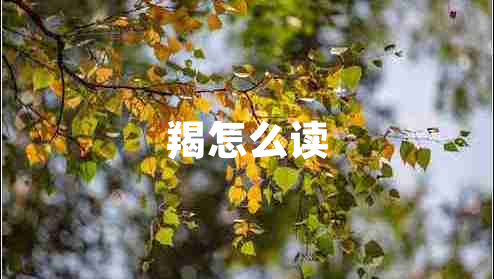 羯怎么讀 羯怎么讀