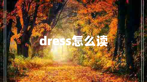 dress怎么讀
