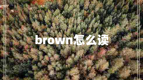 brown怎么讀