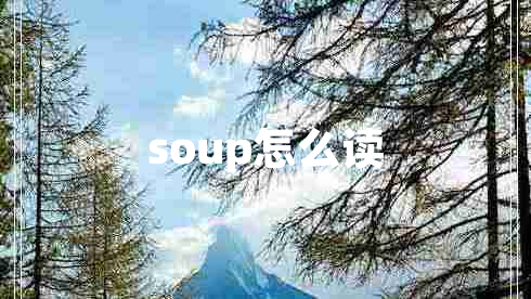 soup怎么讀