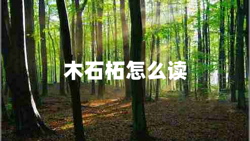 木石柘怎么讀