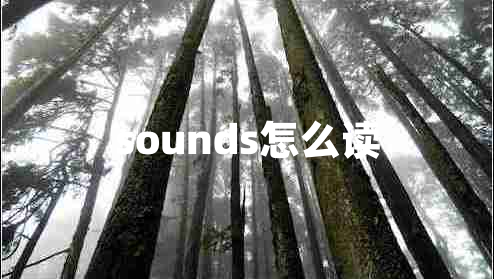 sounds怎么讀