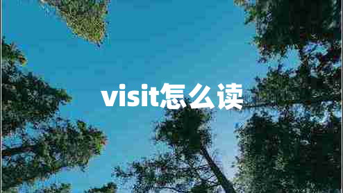 visit怎么讀 visit怎么讀