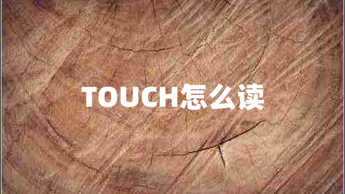 TOUCH怎么讀