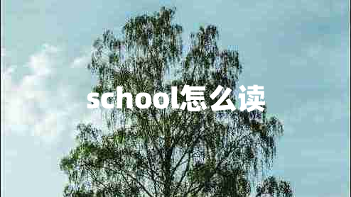 school怎么讀