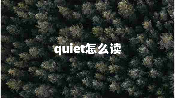 quiet怎么讀