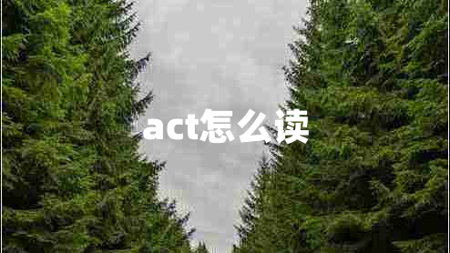 act怎么讀 act怎么讀