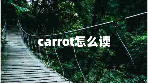carrot怎么讀 carrot怎么讀