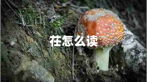 茌怎么讀 茌怎么讀