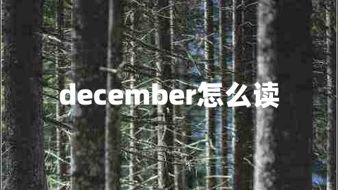 december怎么讀