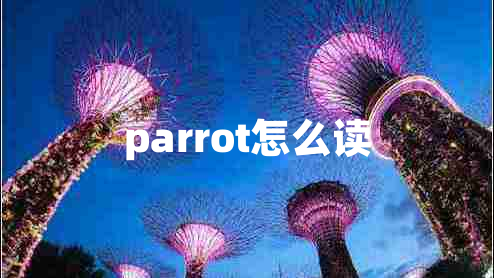 parrot怎么讀 parrot怎么讀