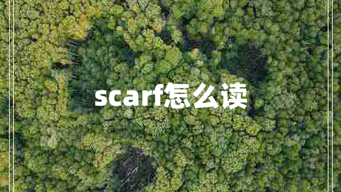 scarf怎么讀 scarf怎么讀