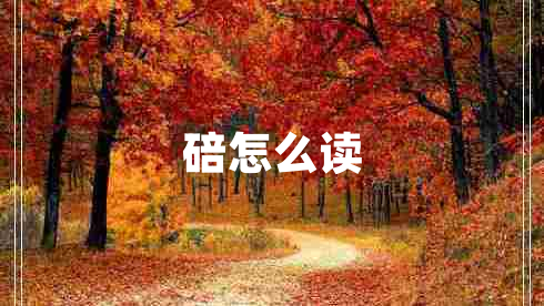 碚怎么讀