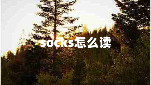 socks怎么讀
