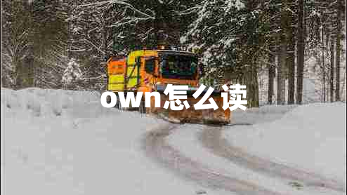 own怎么讀
