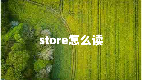store怎么讀