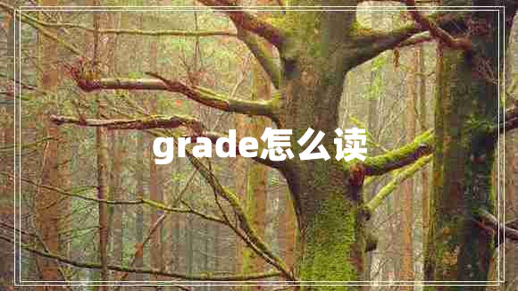 grade怎么讀
