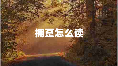 擁躉怎么讀 擁躉怎么讀