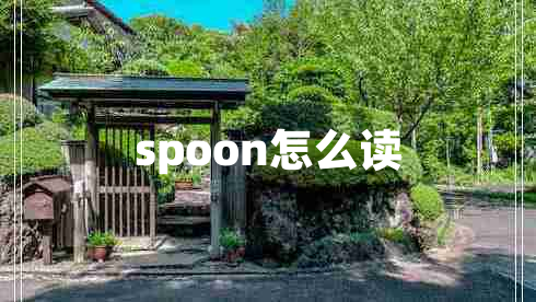 spoon怎么讀
