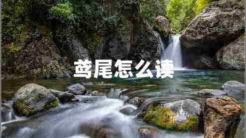 鳶尾怎么讀 鳶尾怎么讀