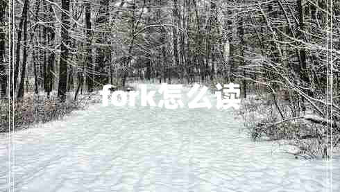 fork怎么讀