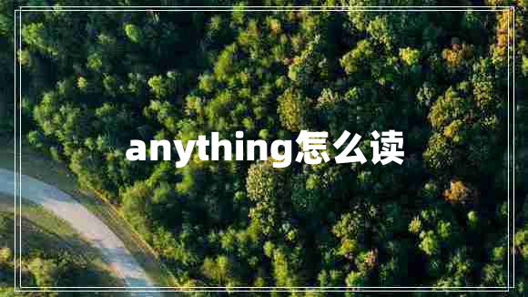anything怎么讀