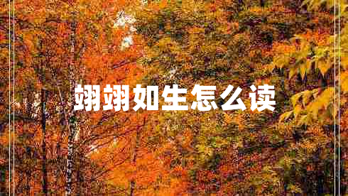 翊翊如生怎么讀