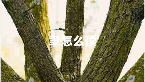 聿怎么讀 聿怎么讀