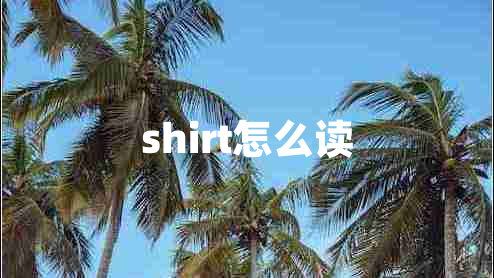 shirt怎么讀