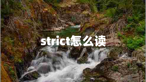 strict怎么讀