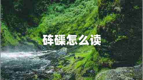 硨磲怎么讀