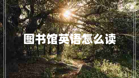 圖書館英語怎么讀 圖書館英語怎么讀