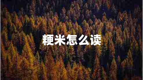 粳米怎么讀 粳米怎么讀