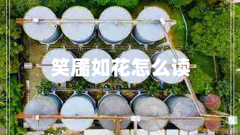 笑靨如花怎么讀