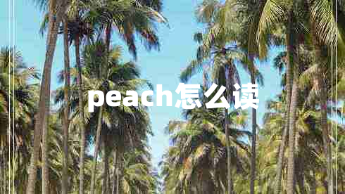 peach怎么讀