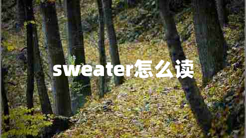 sweater怎么讀