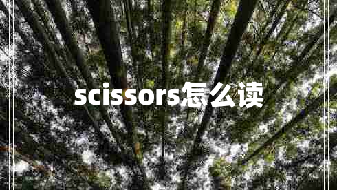 scissors怎么讀